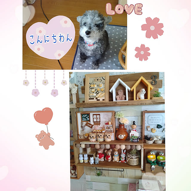chinon7211さんの実例写真