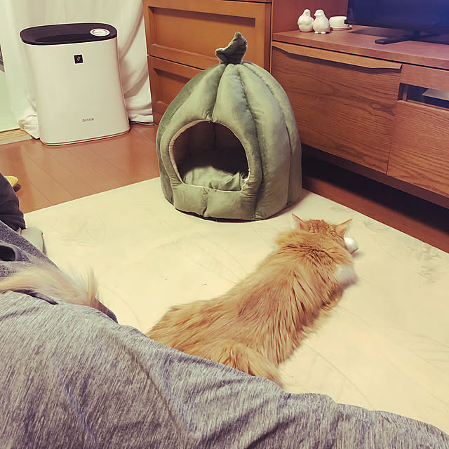 uchidaizuさんの実例写真