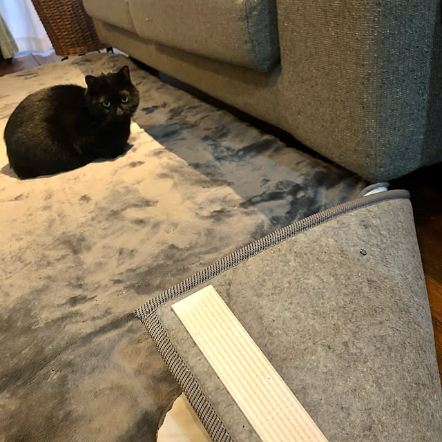 mutsuさんの実例写真
