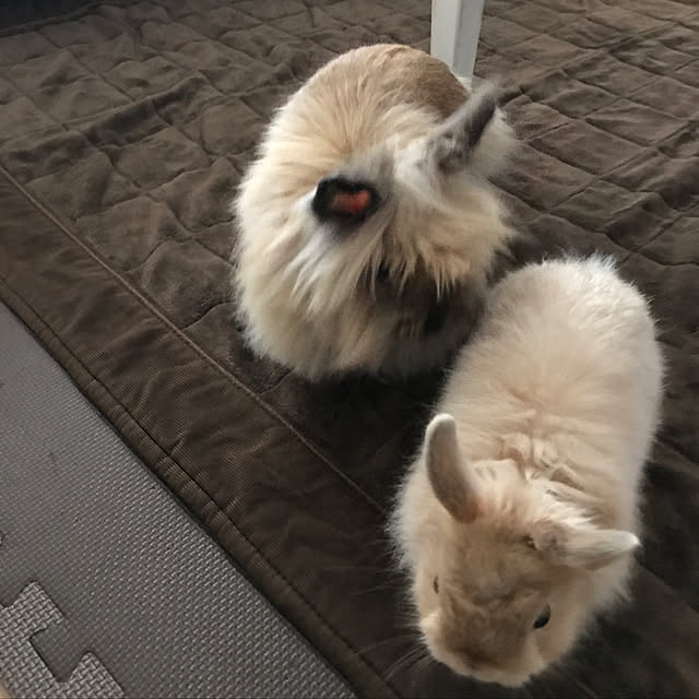 mさんの実例写真