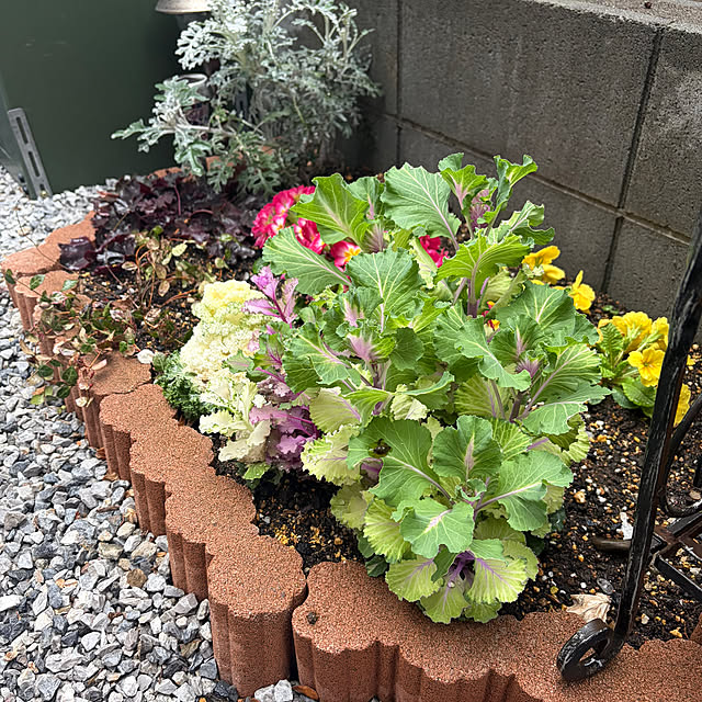 ikuzakさんの部屋