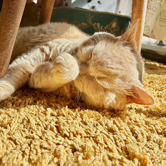 naokoさんの部屋