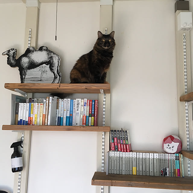mikomaruさんの実例写真