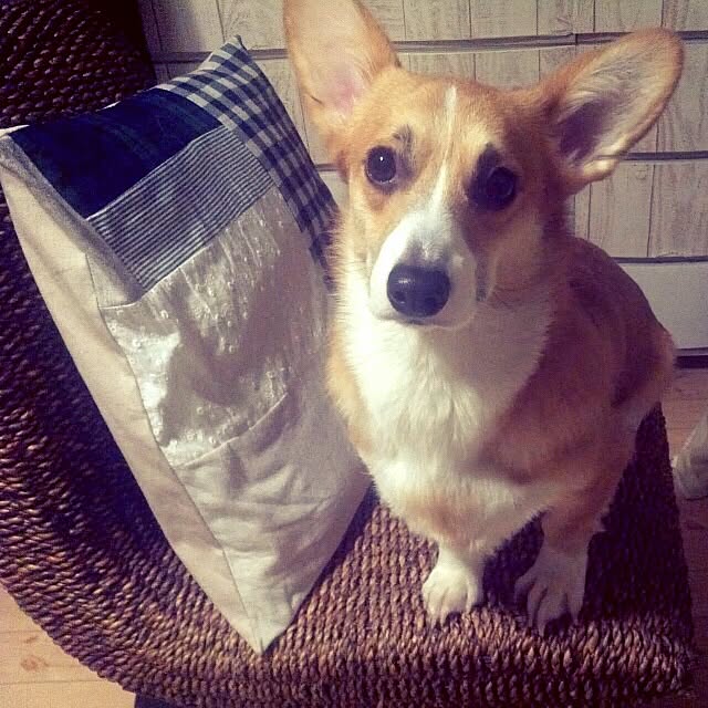 dezさんの実例写真
