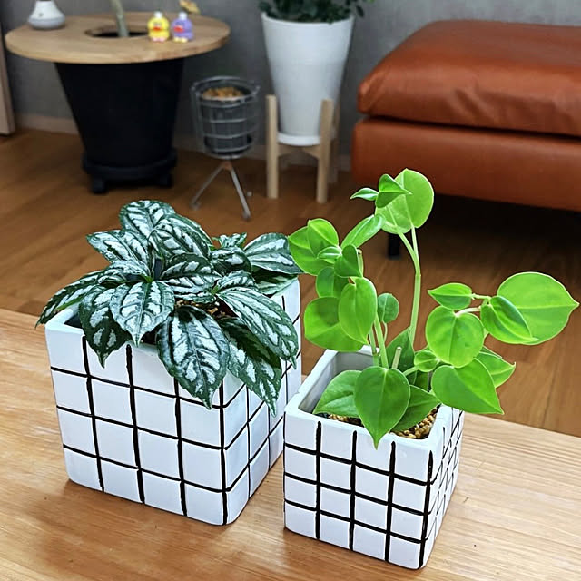 Rさんの部屋