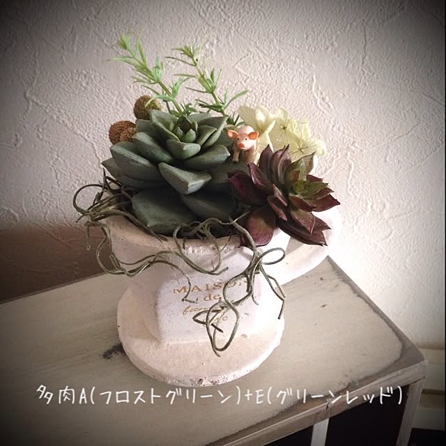 実例写真