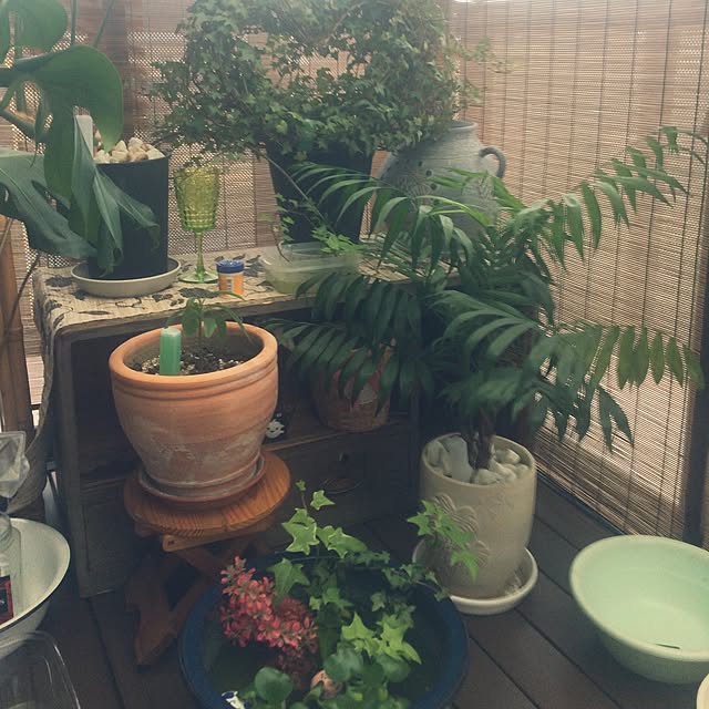 junmamaさんの実例写真