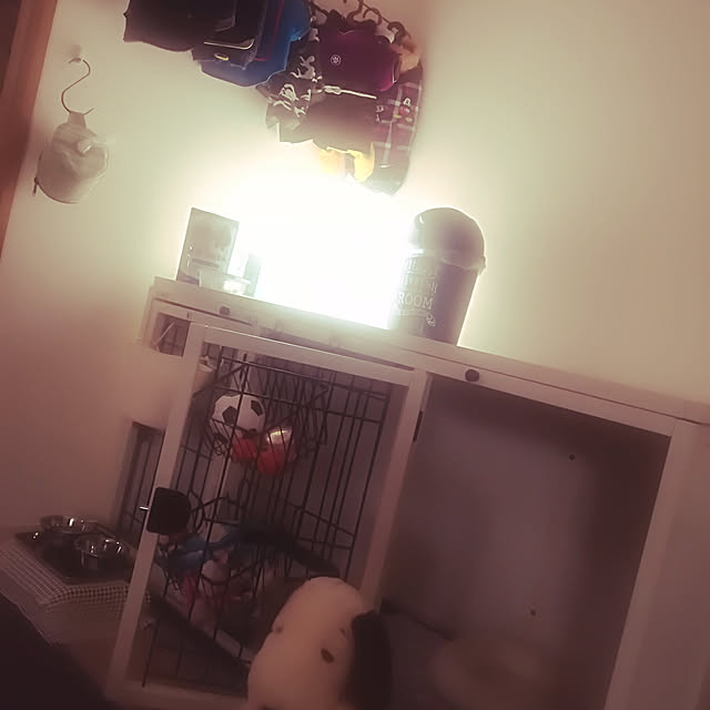 junjunさんの実例写真