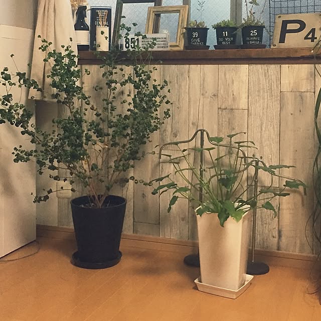 nico25さんの実例写真