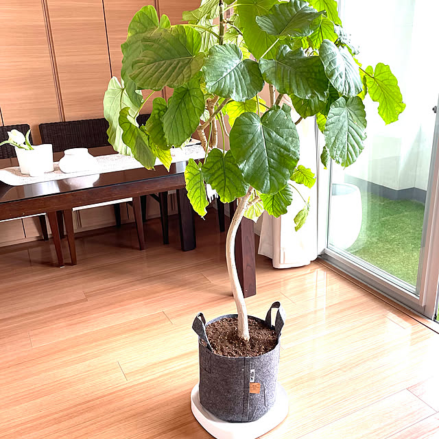 nanakoさんの実例写真
