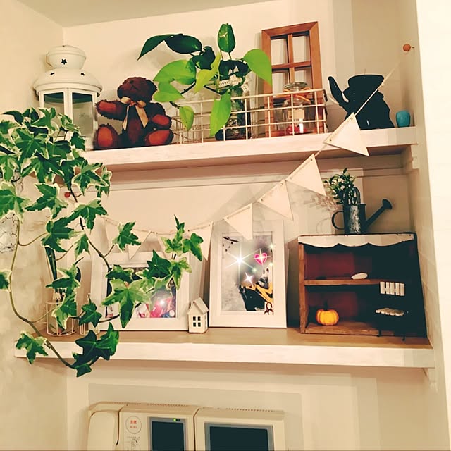 noelさんの実例写真