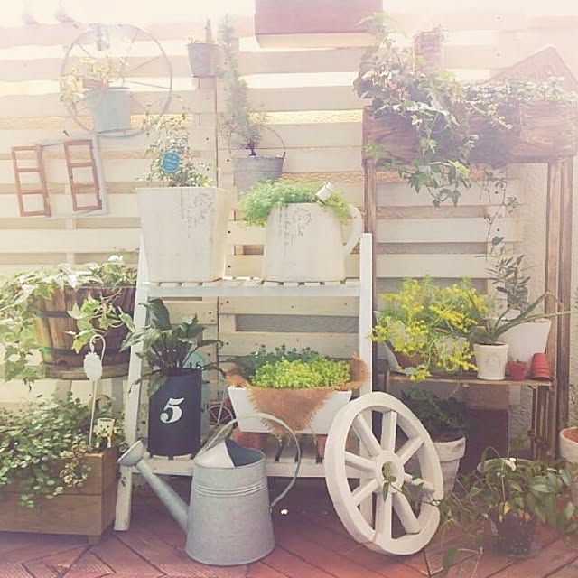 chiさんの実例写真