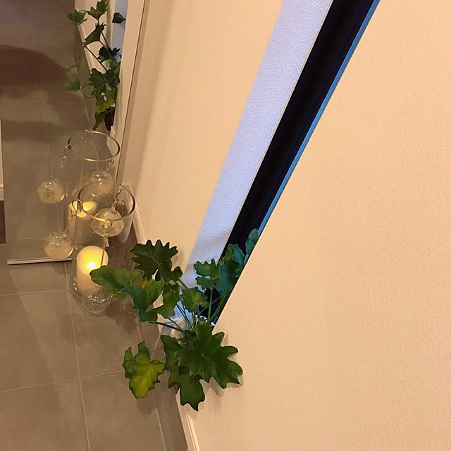 iwashiさんの実例写真