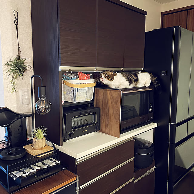tansukeさんの部屋