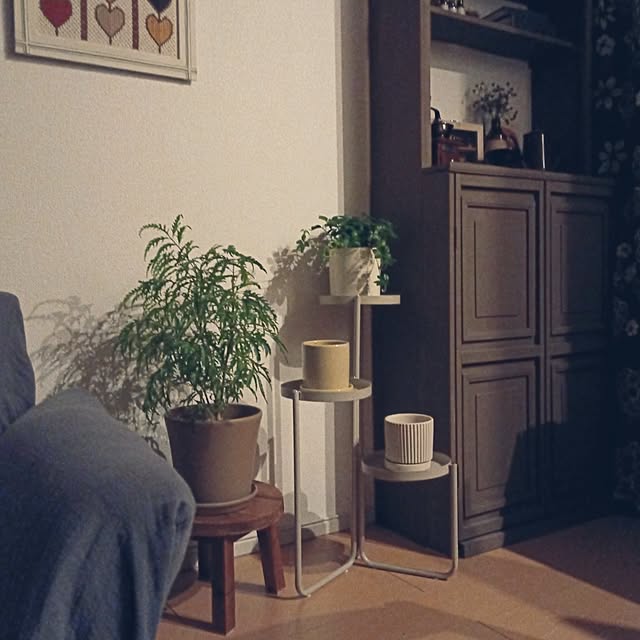 toukoさんの実例写真