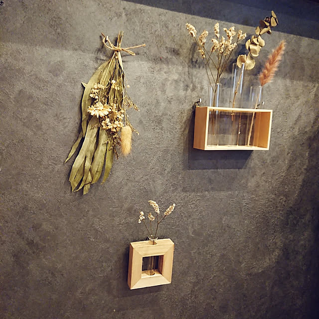 壁/天井/壁面ディスプレイ/いちりんざし/DIY/試験管花瓶...などのインテリア実例 - 2022-02-16 15:46:50