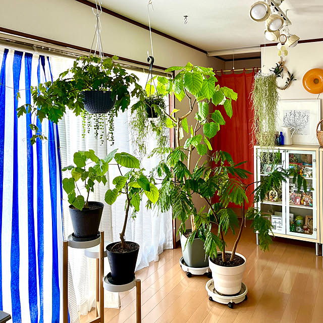 65-24oxoさんの実例写真