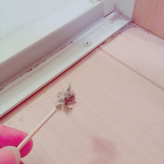 Mutsukiさんの実例写真