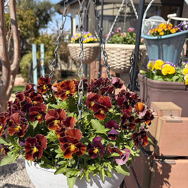 ronronさんの実例写真