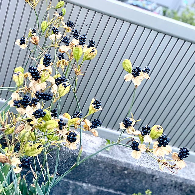 kojirotanさんの部屋