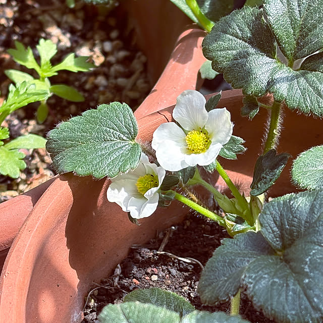 madamkaoriさんの部屋