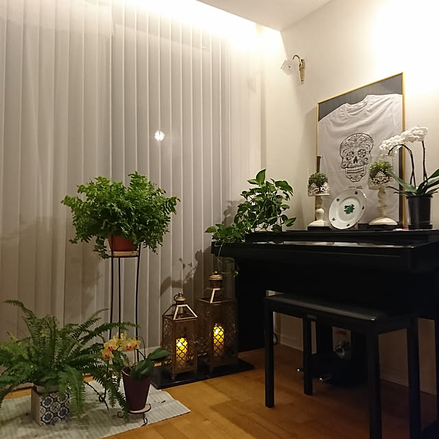 bonobono54さんの実例写真