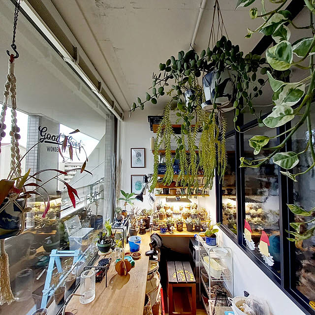 Rさんの実例写真