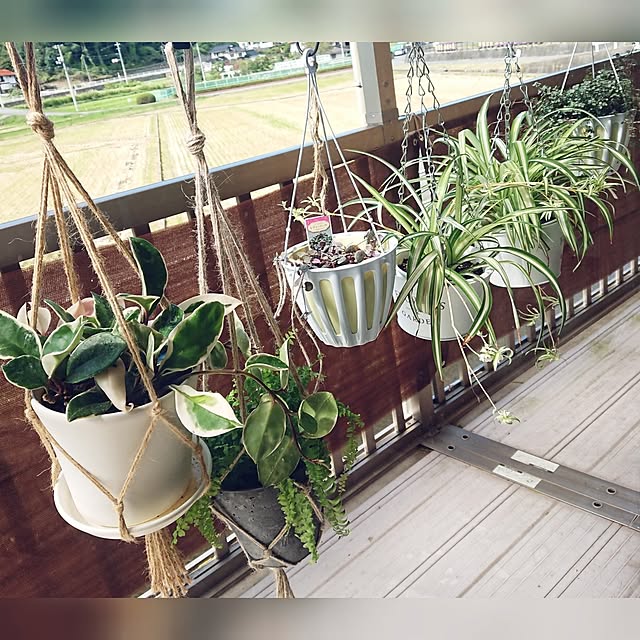 nachiさんの部屋
