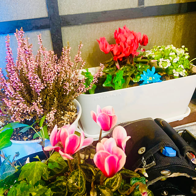 tututu0204さんの実例写真