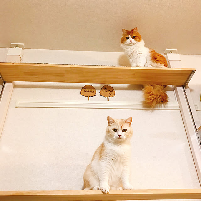 H.Tさんの実例写真