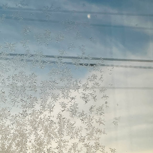 chiiyanさんの部屋