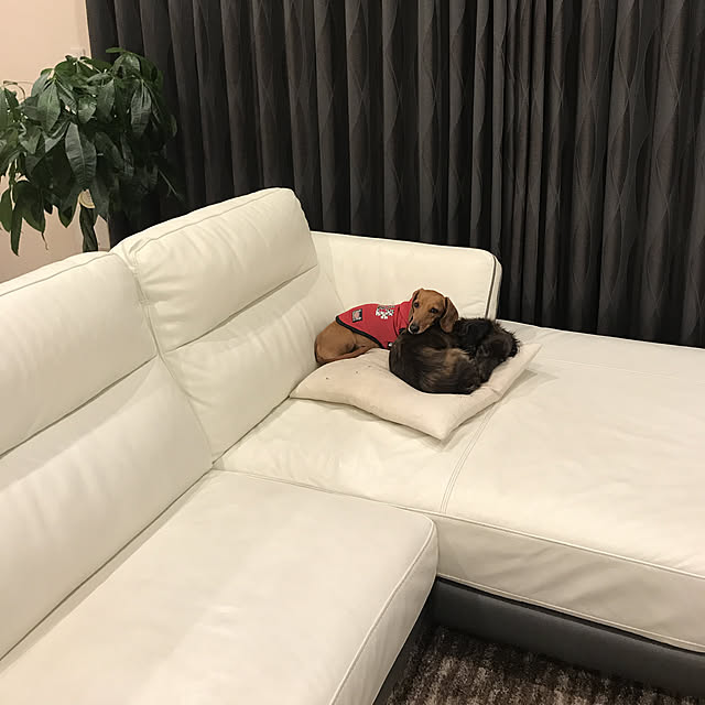 mamiさんの実例写真