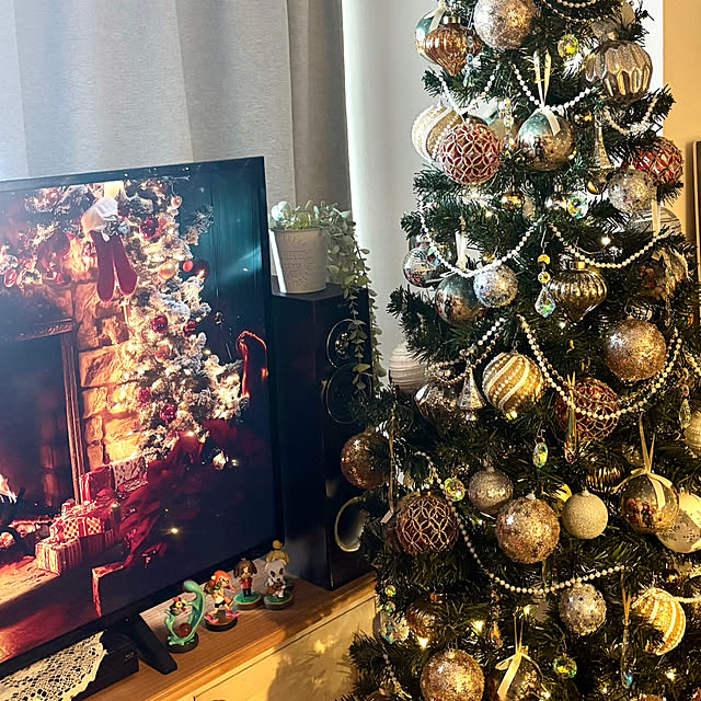 ringoさんの実例写真