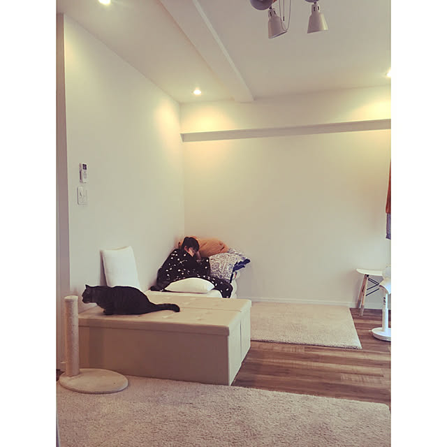 nocomomさんの実例写真
