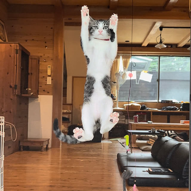 kozakura10さんの実例写真