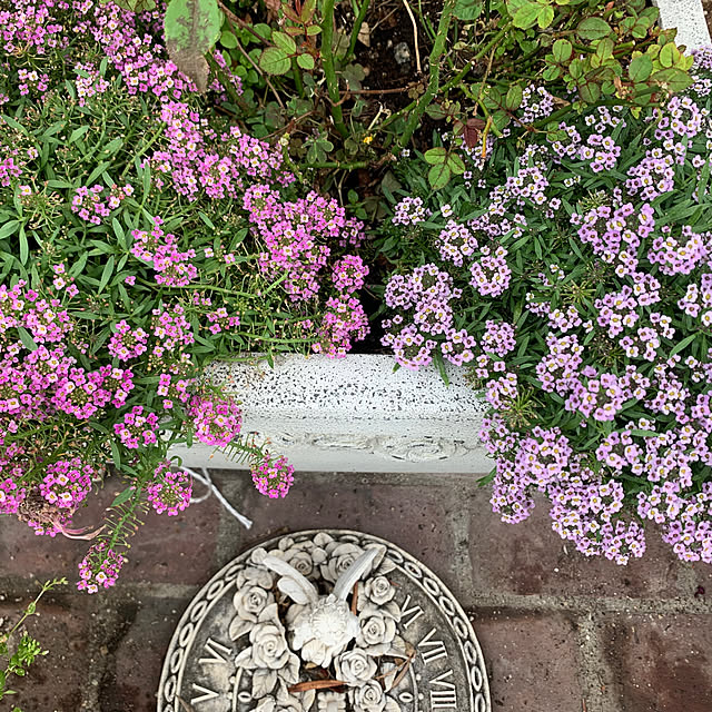 AYUKOさんの実例写真