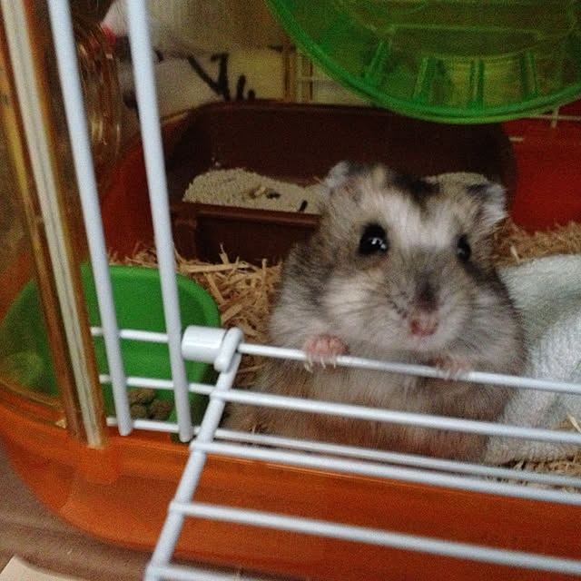 Yuさんの実例写真