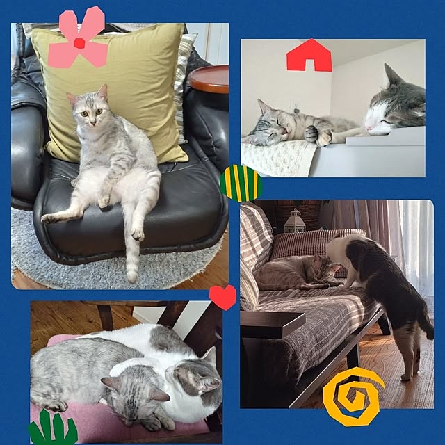 38catさんの実例写真