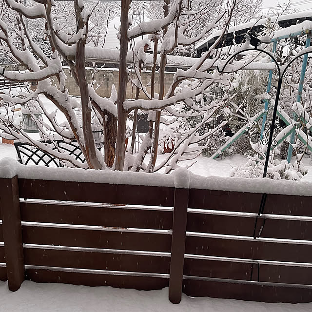 ronronさんの部屋