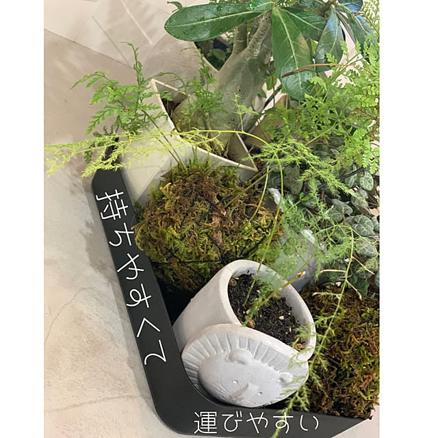 h_home.hさんの実例写真