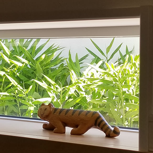 shimaaadsさんの実例写真