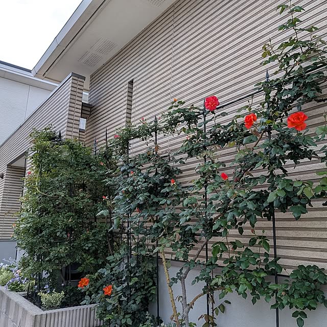 kumijiさんの部屋