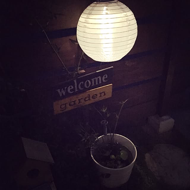 viviさんの実例写真