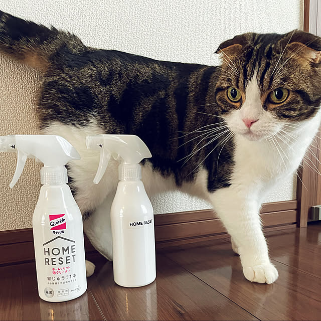 tansukeさんの実例写真