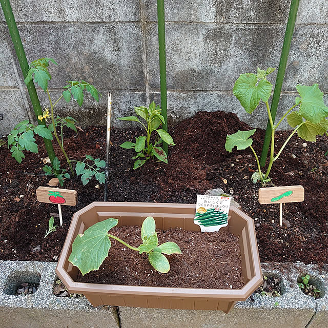 fukuさんの実例写真