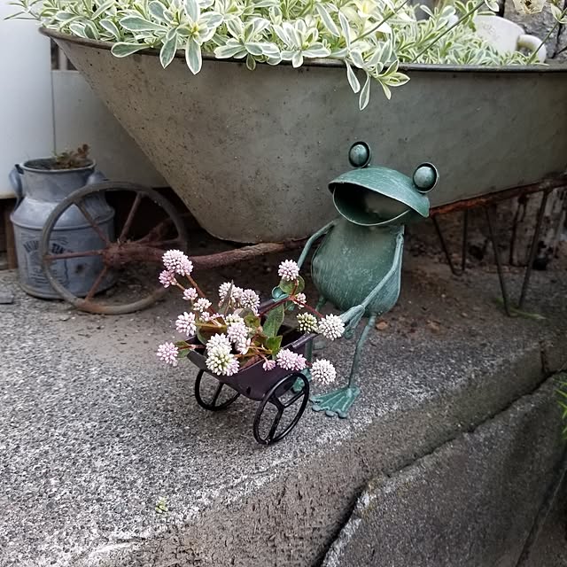 midoriさんの部屋