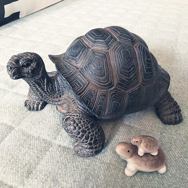 futukoさんの実例写真