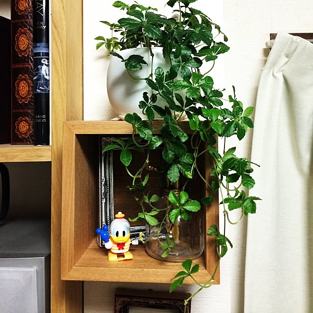 sskさんの実例写真