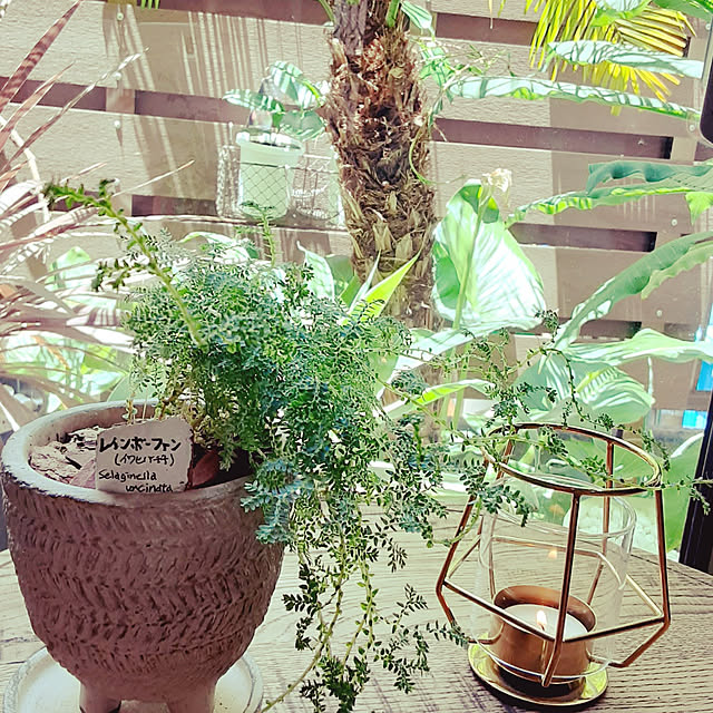 milkyさんの実例写真
