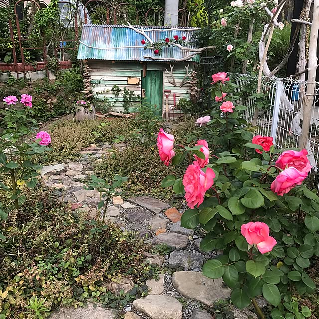pepeさんの実例写真